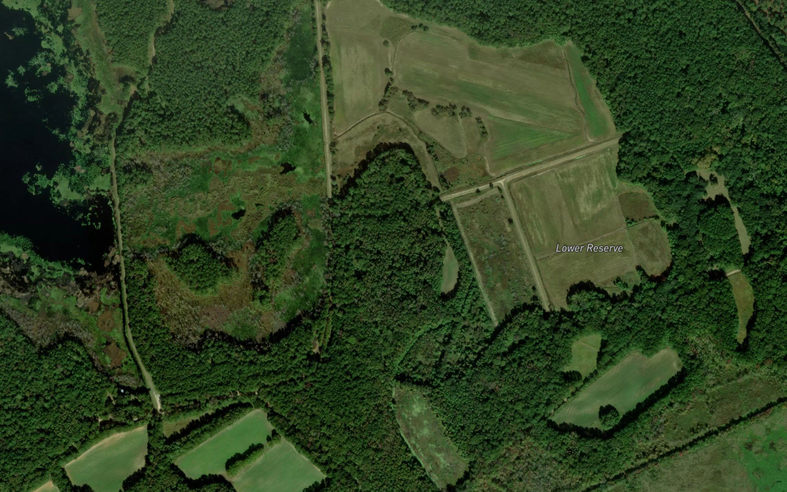 Lower Reserve