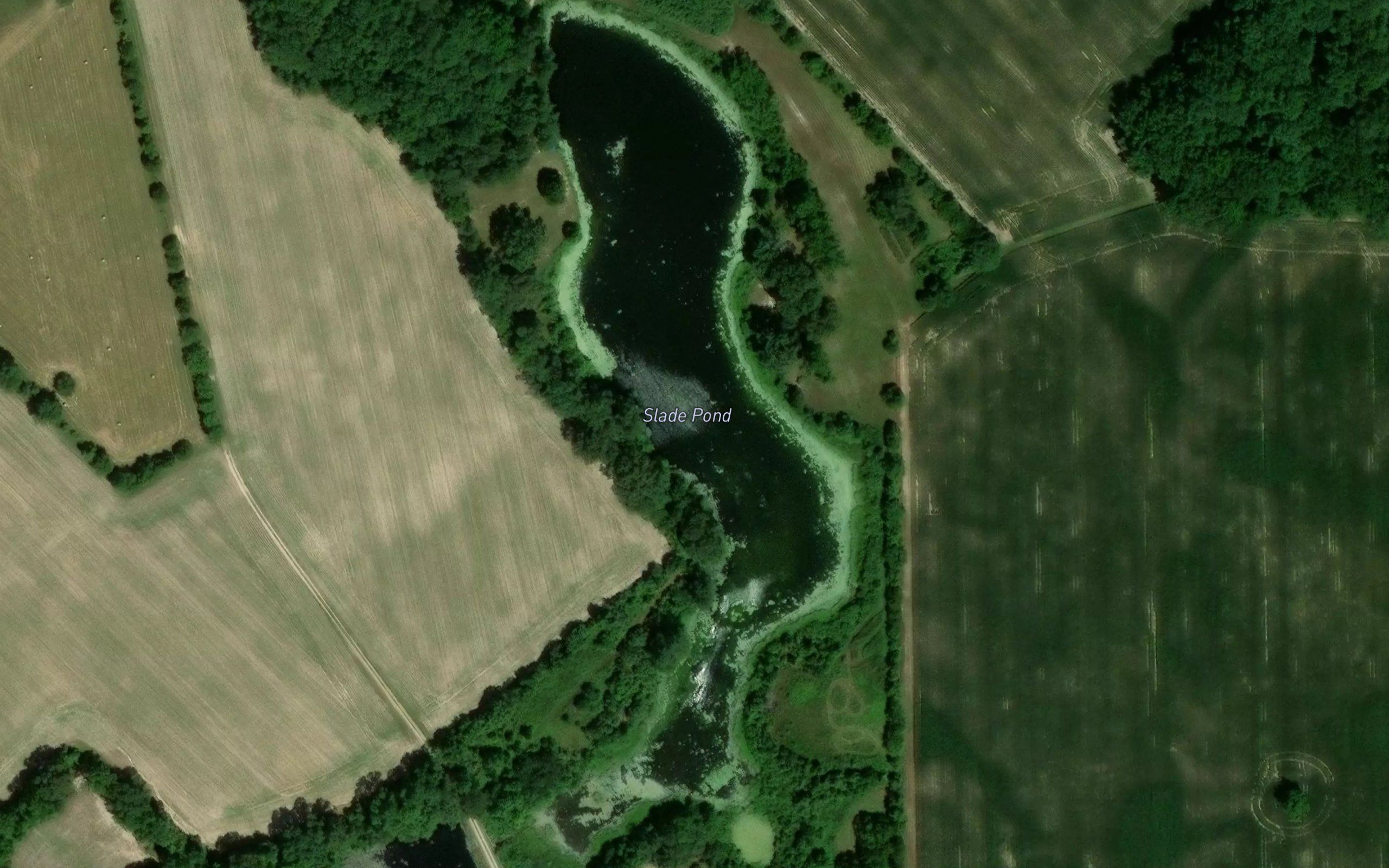 Slade Pond