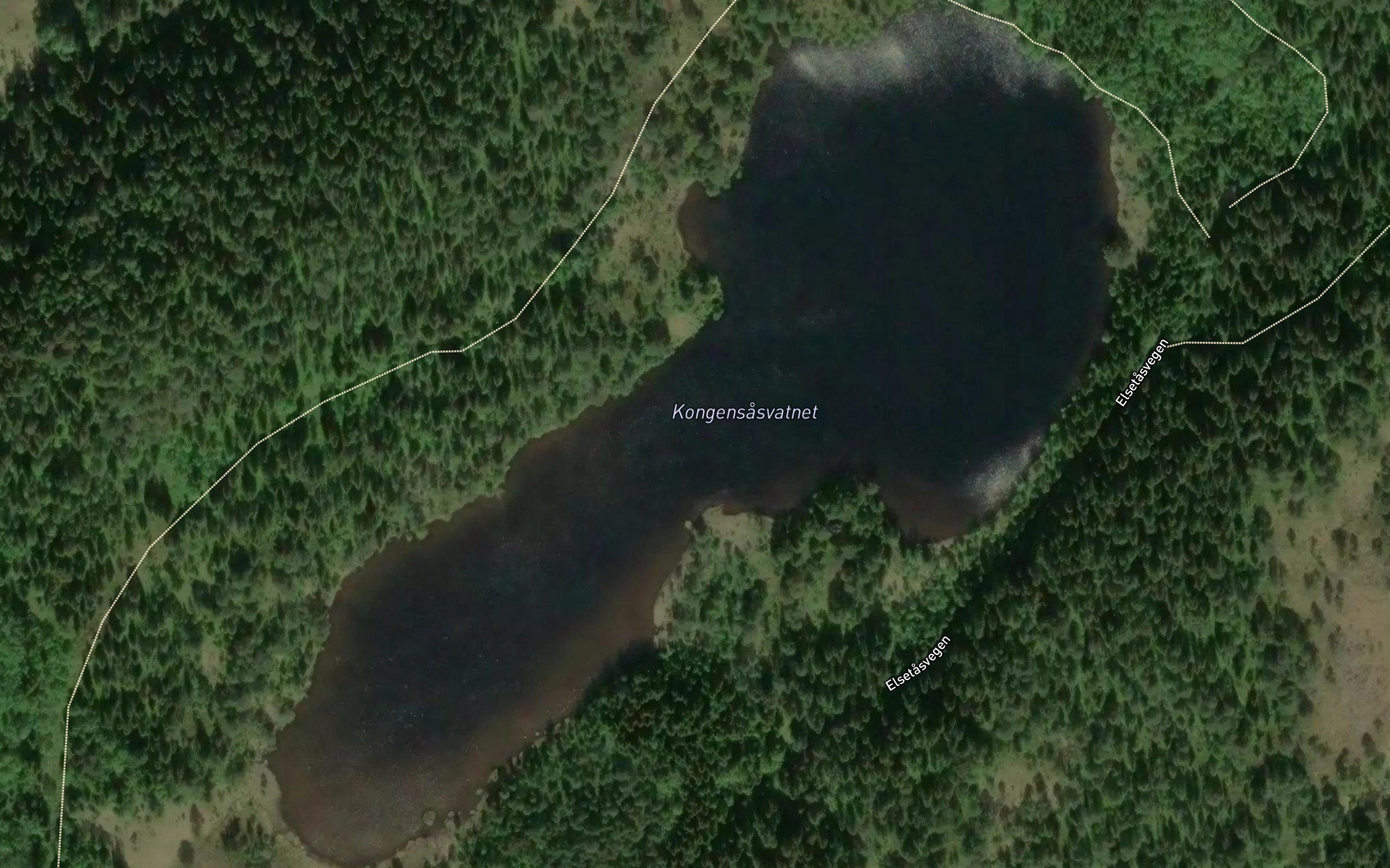 Kongensasvatnet