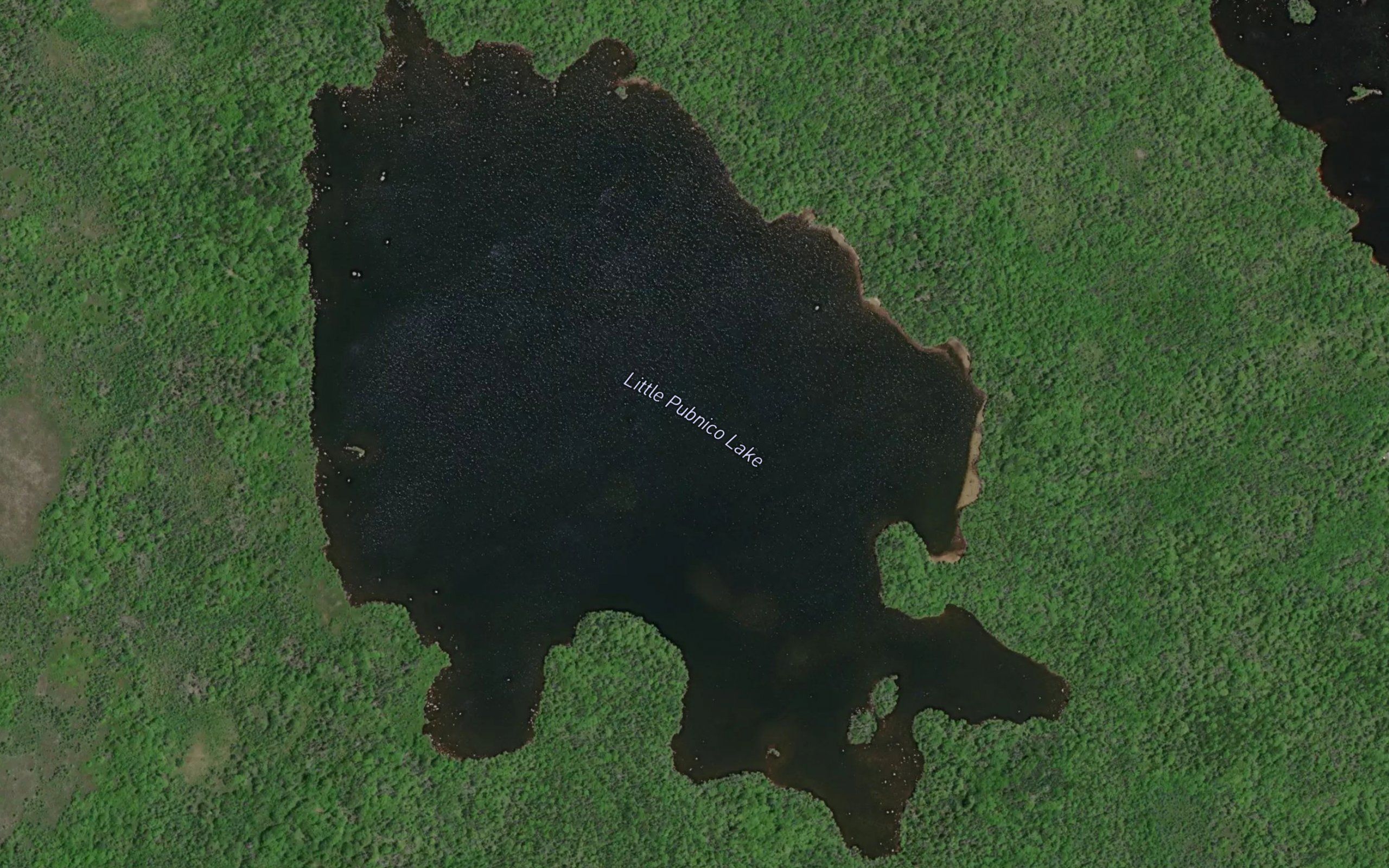 Little Pubnico Lake