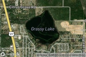 Grassy Lake