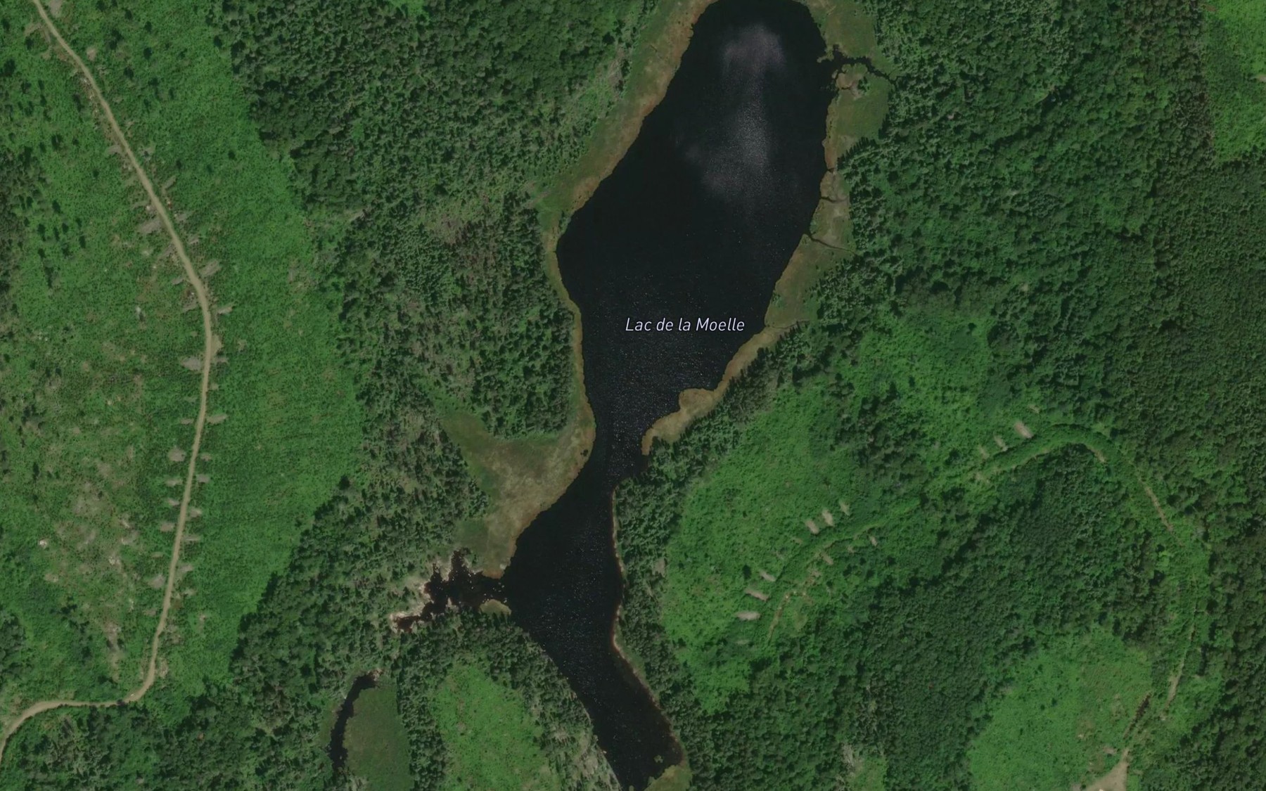 Satellite map of the Lac de la Moelle