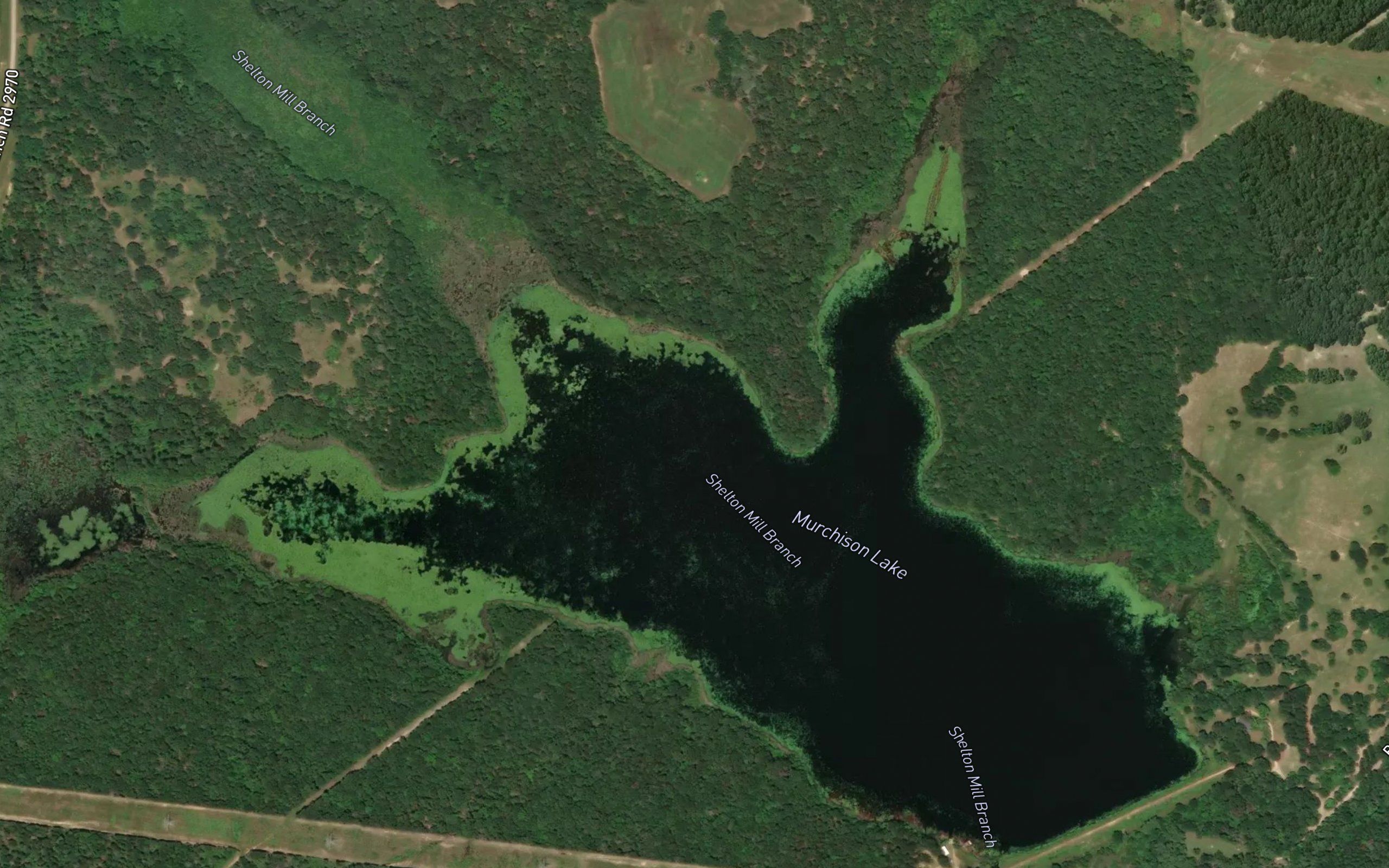 Murchison Lake