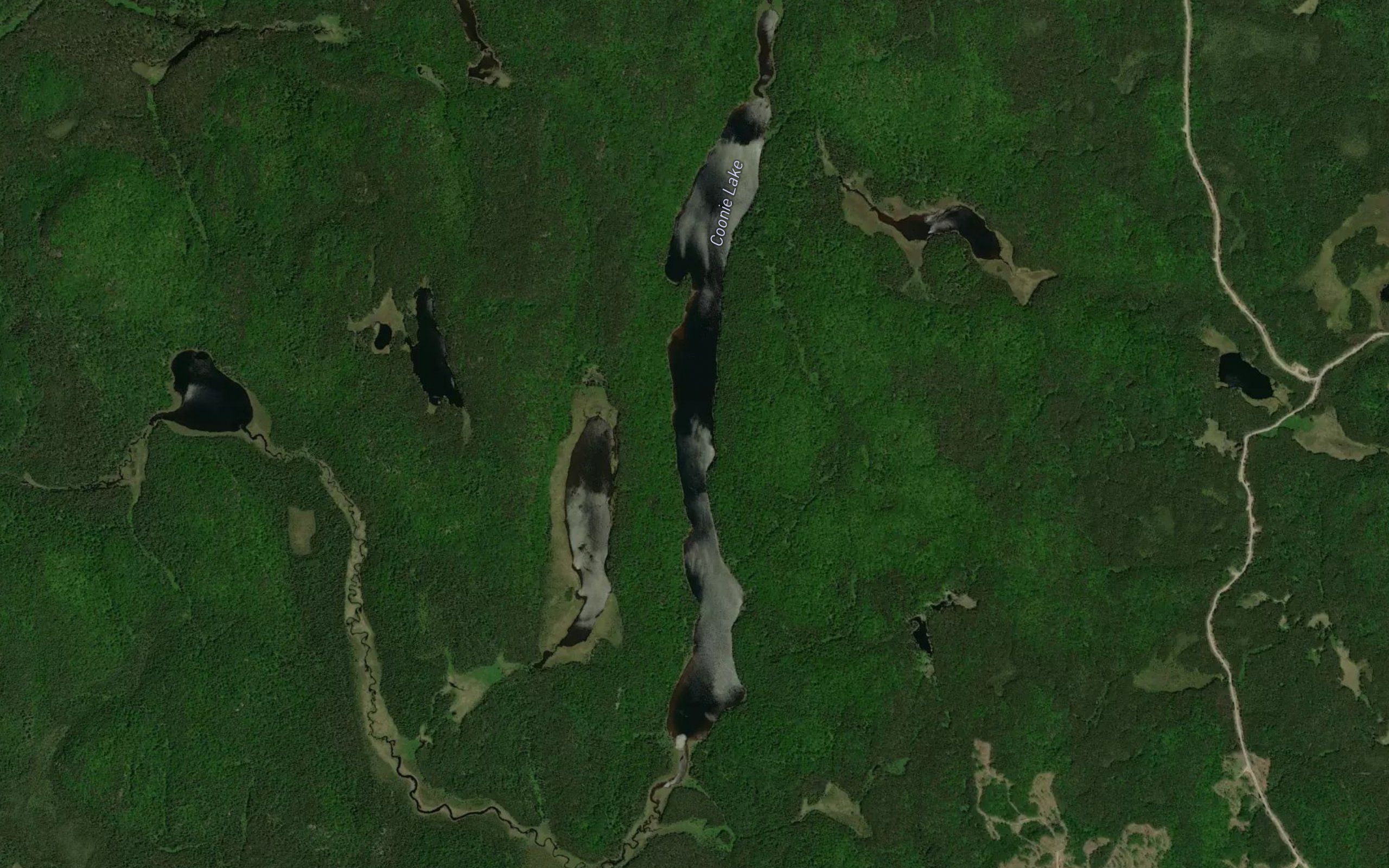 Coonie Lake