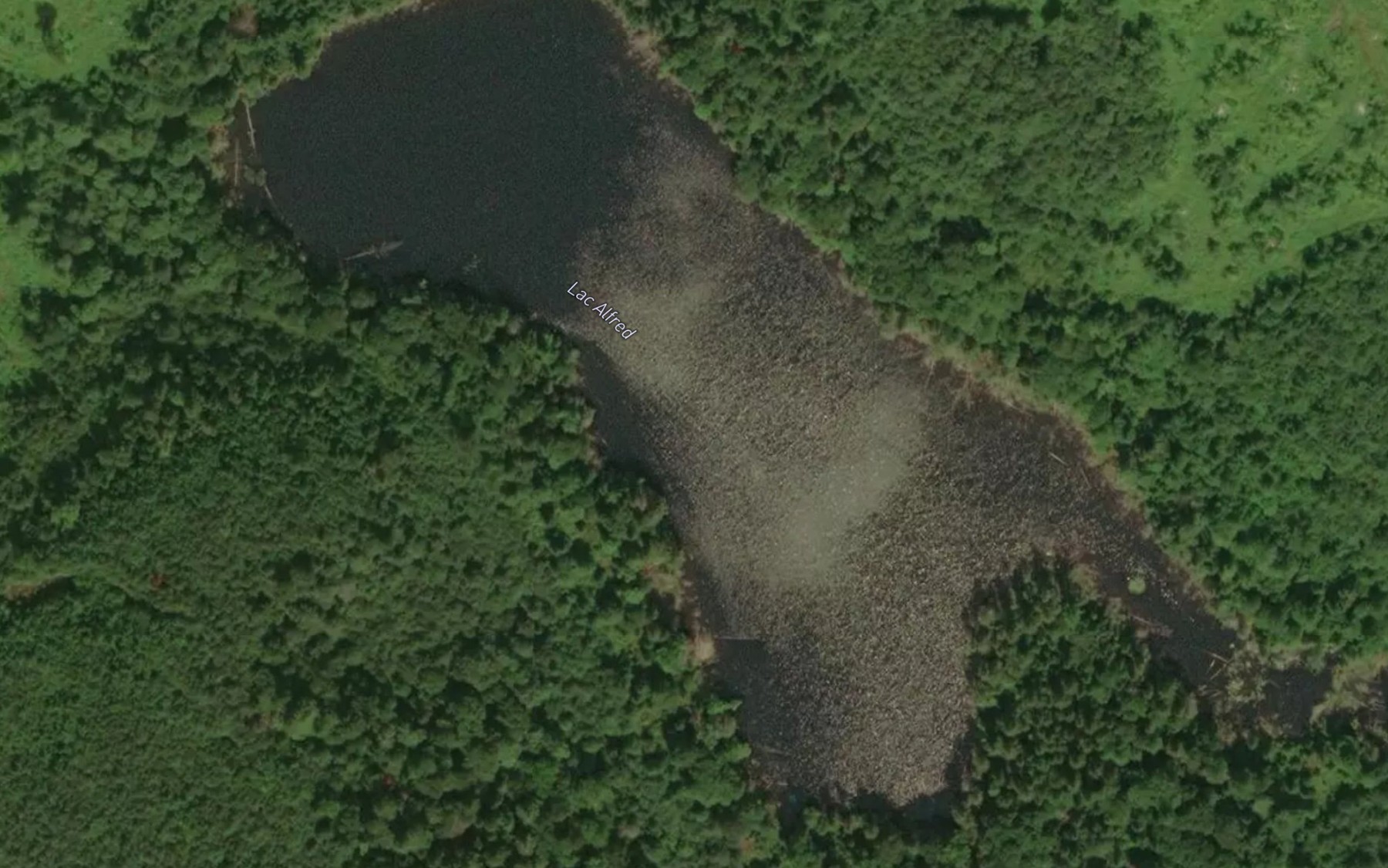 Satellite map of the Lac Alfred