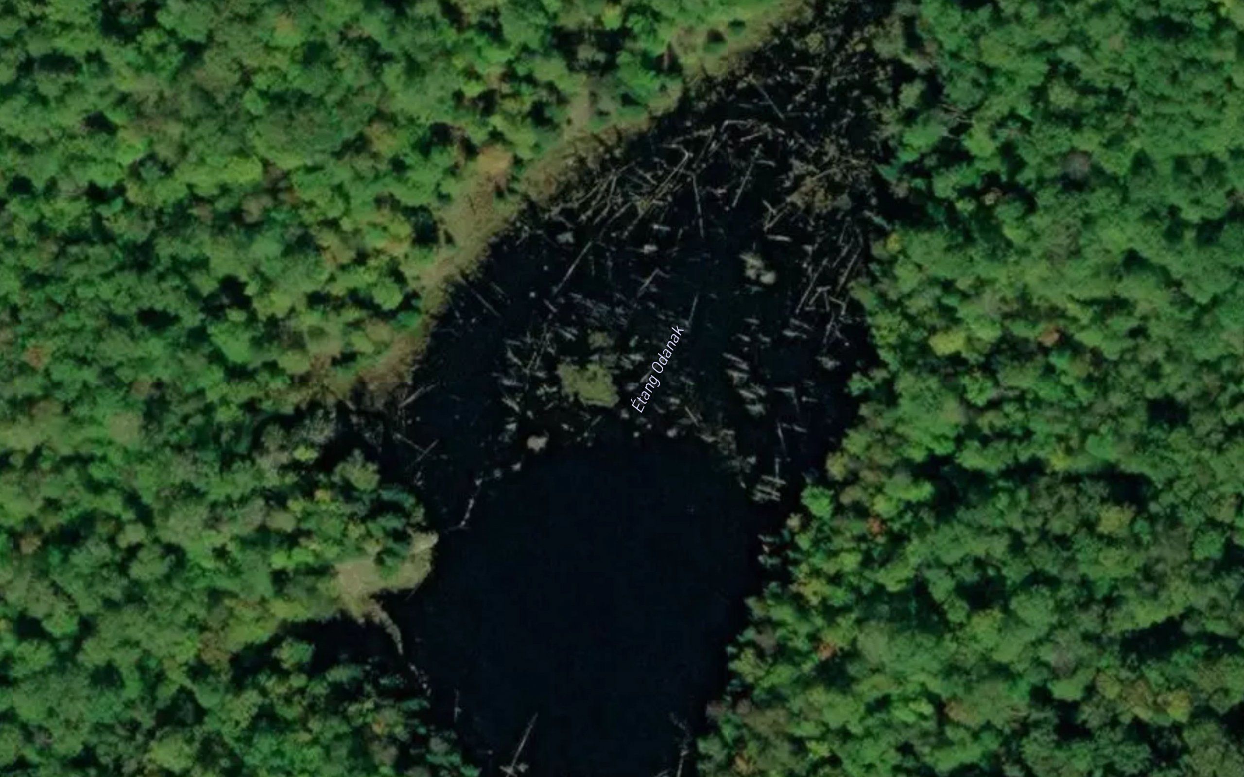 Etang Odanak