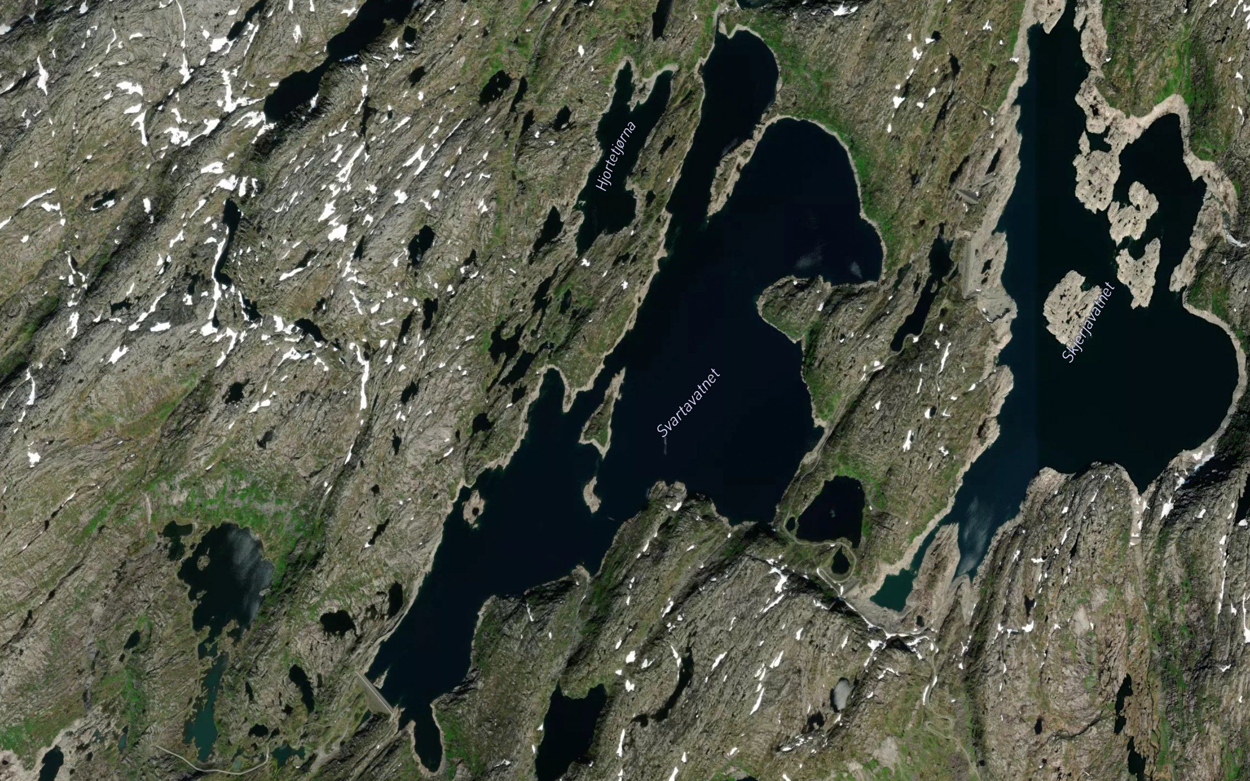 Svartavatnet
