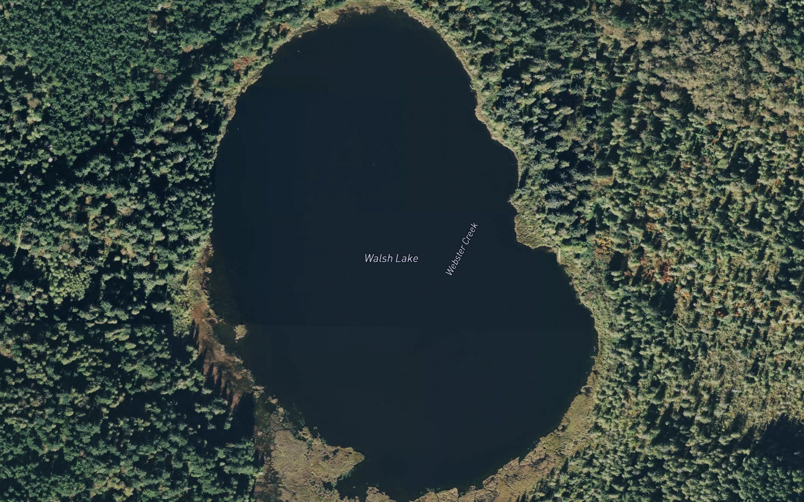 Walsh Lake