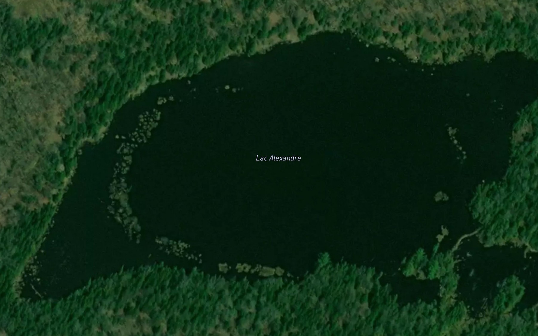 Satellite map of the Lac Alexandre
