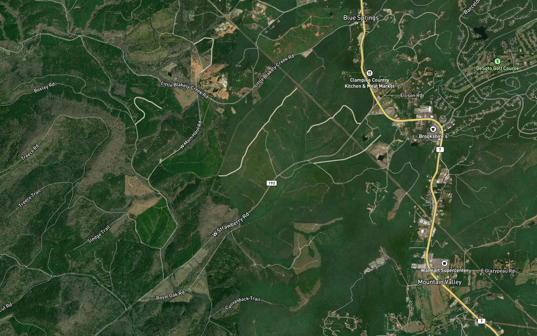 Satellite map of the Gross Lake