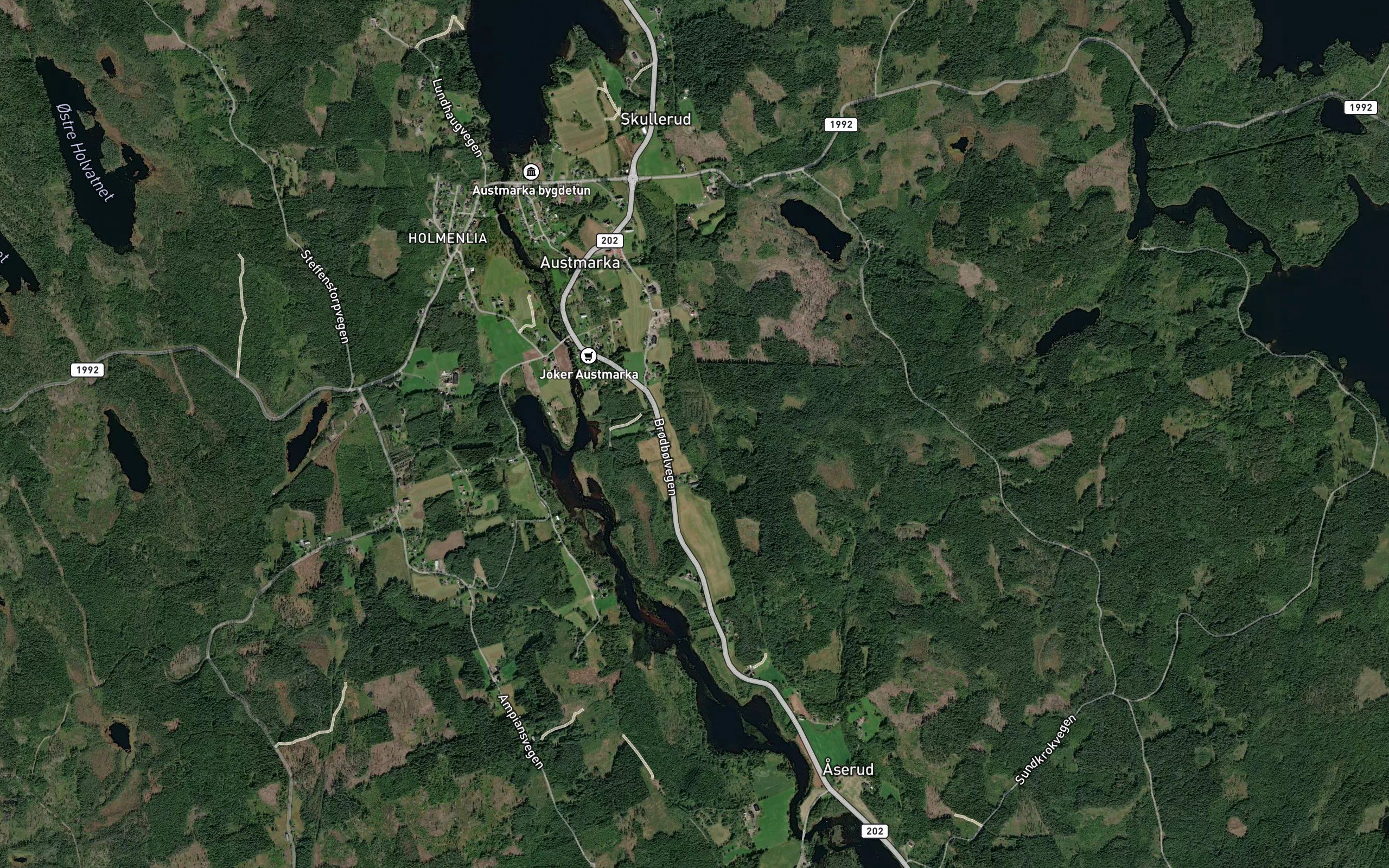 Kattjennet