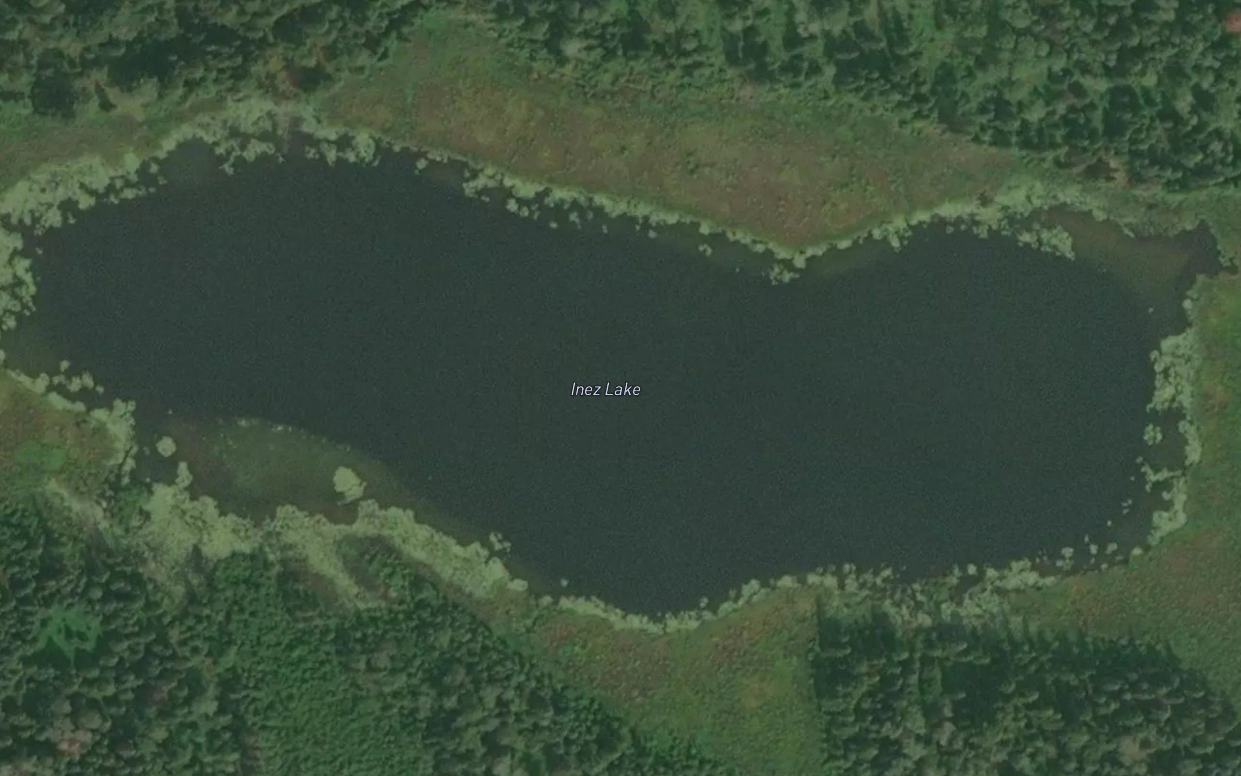 Inez Lake