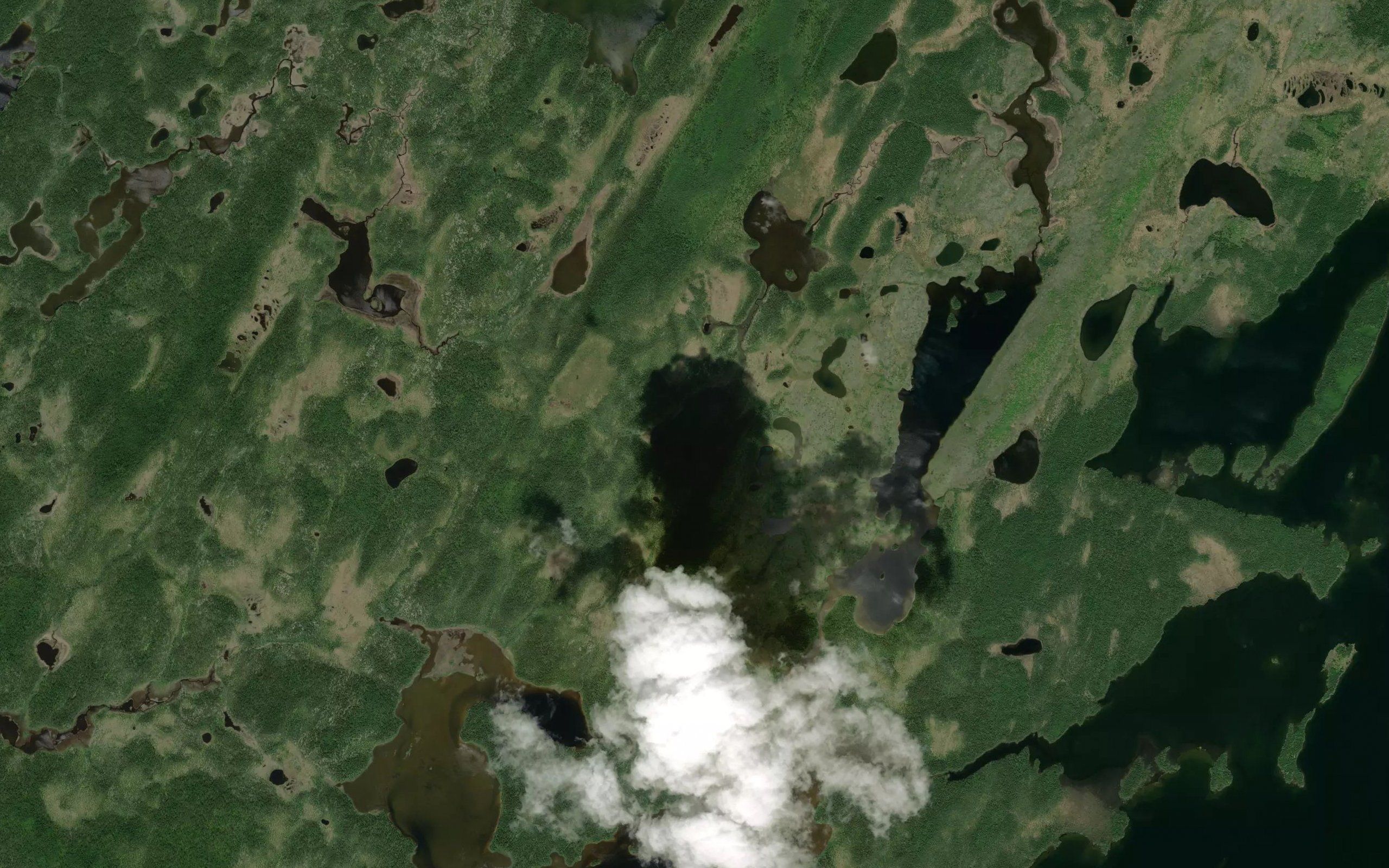 Lac Kaachichekamuuskach