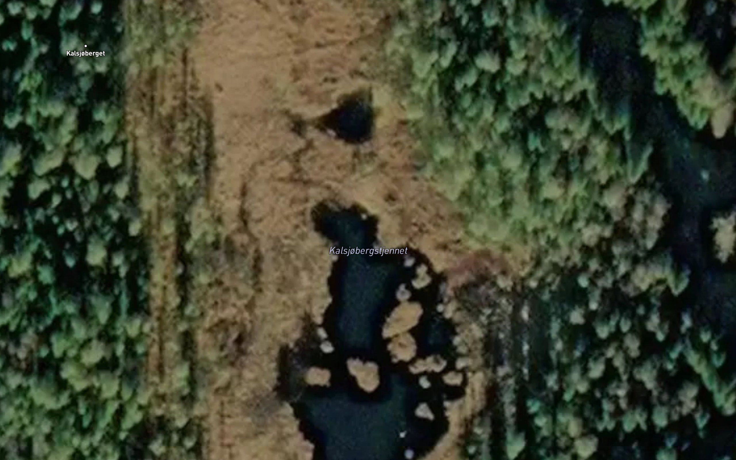 Kalsjobergstjennet