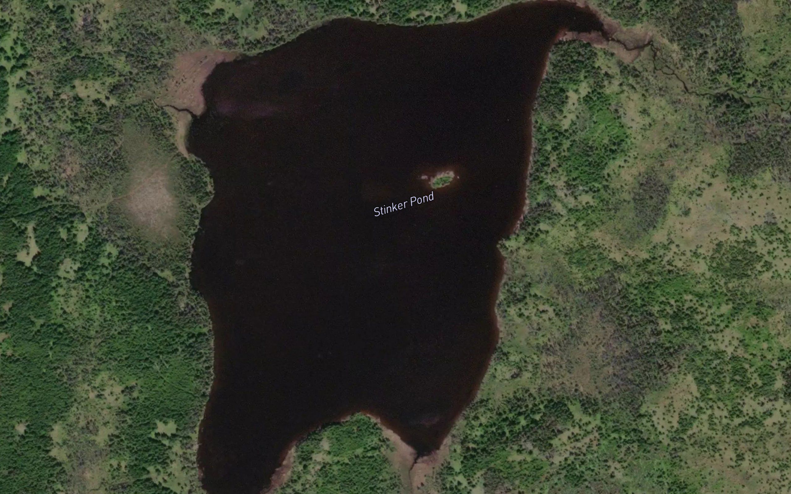 Stinker Pond