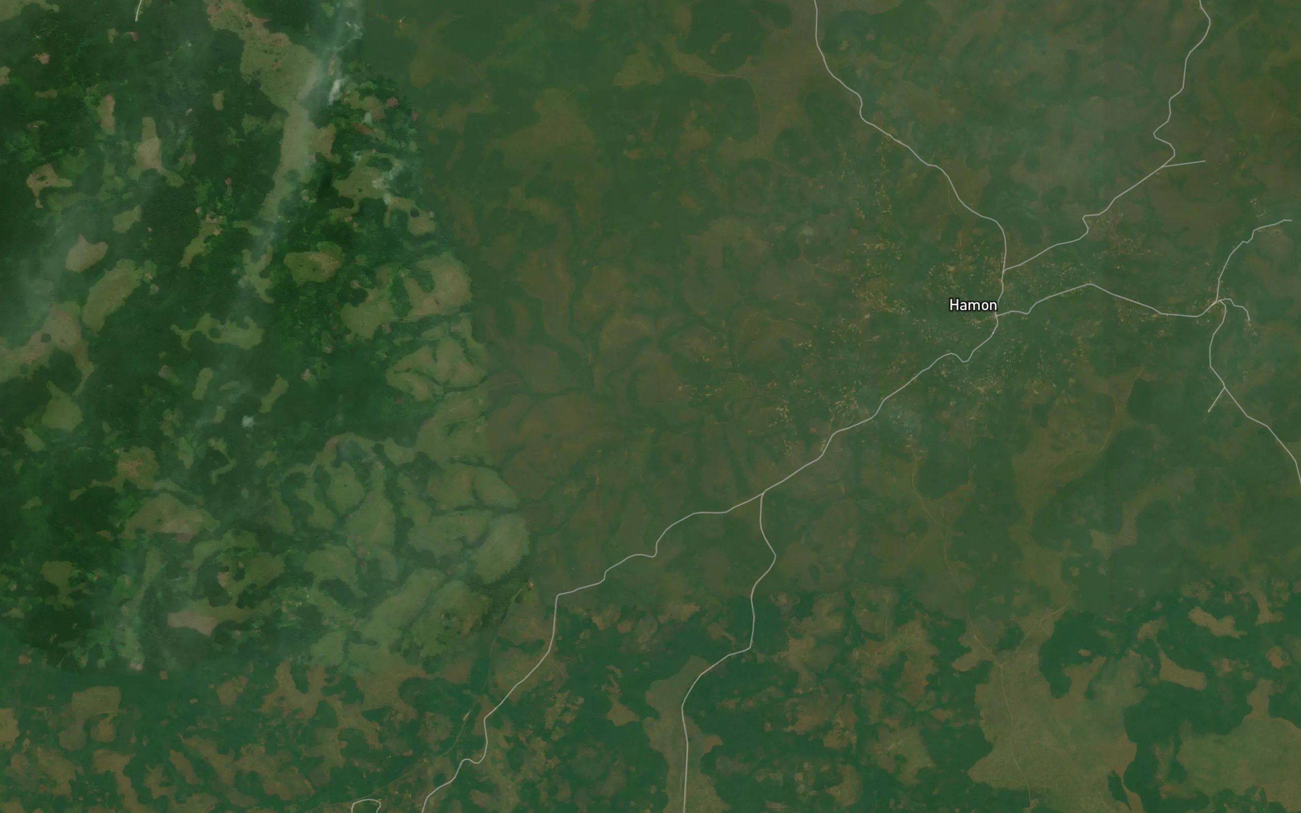 Mougobi