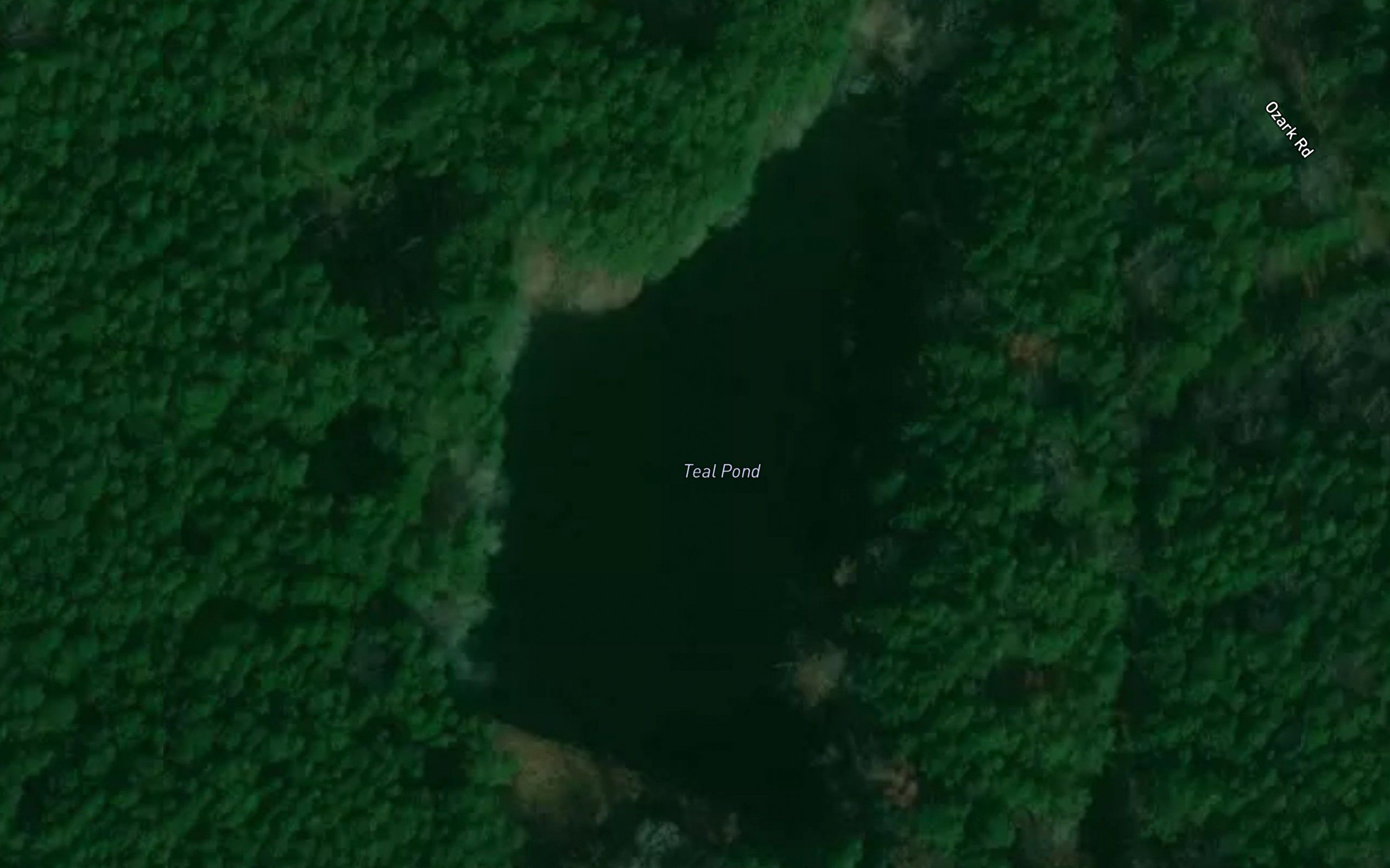 Teal Pond