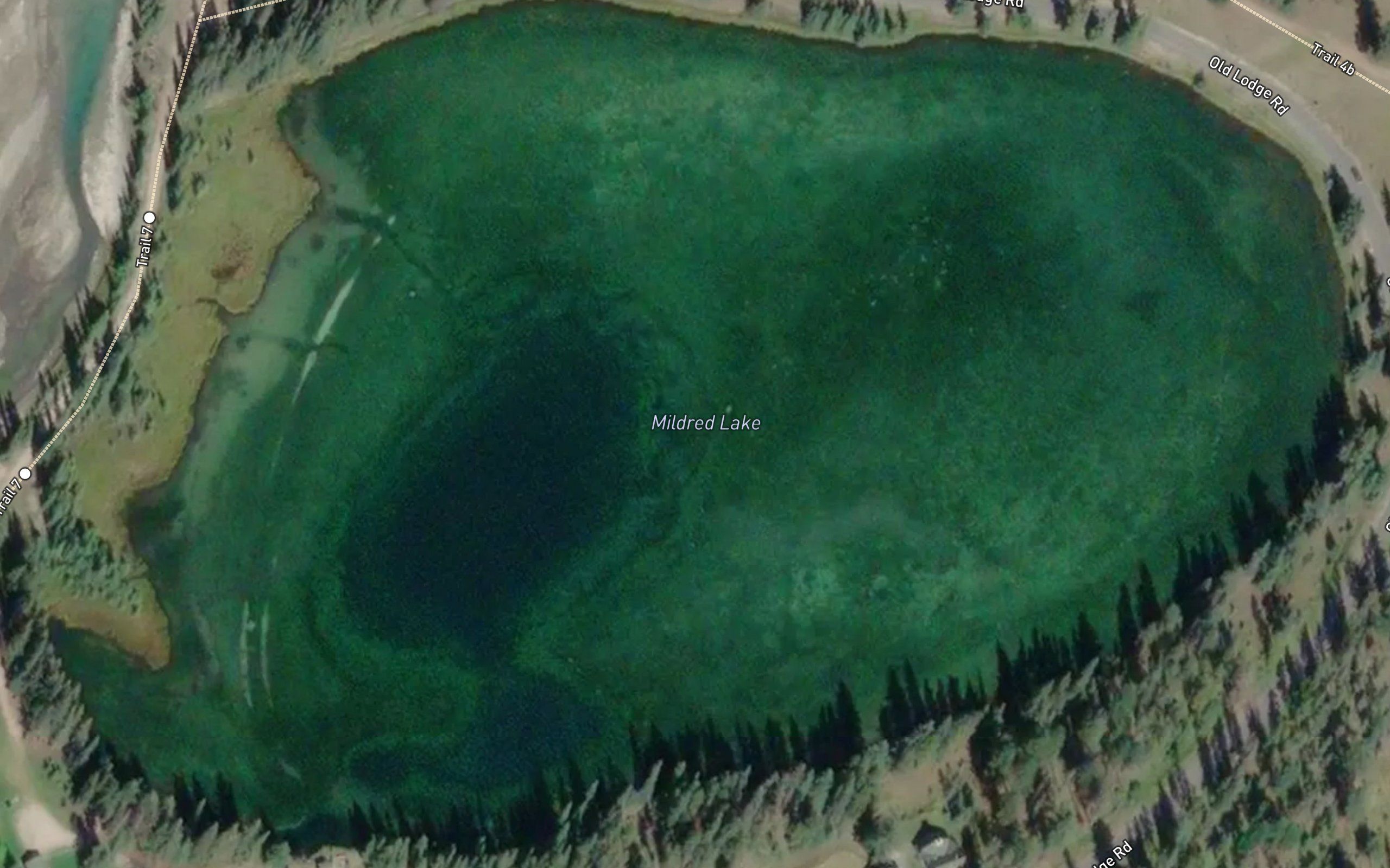 Mildred Lake