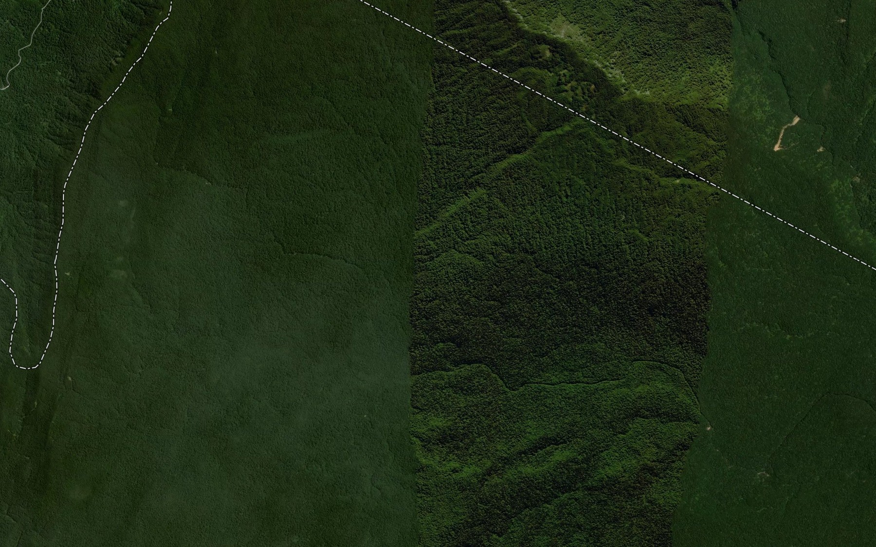 Satellite map of the Kopuapounamu Stream