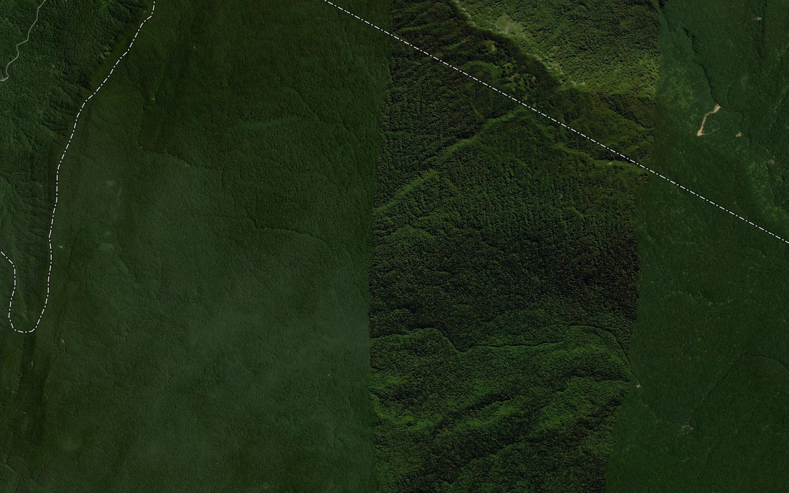 Kopuapounamu Stream