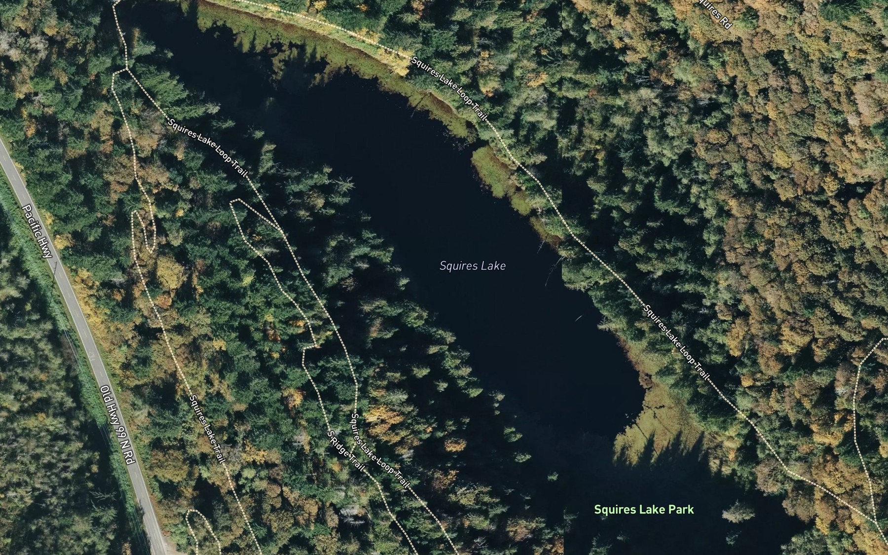 Satellite map of the Squires Lake