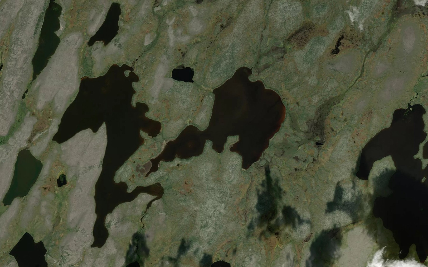 Satellite map of the William McLean Lake