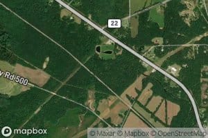 South Prong Chestnut Creek