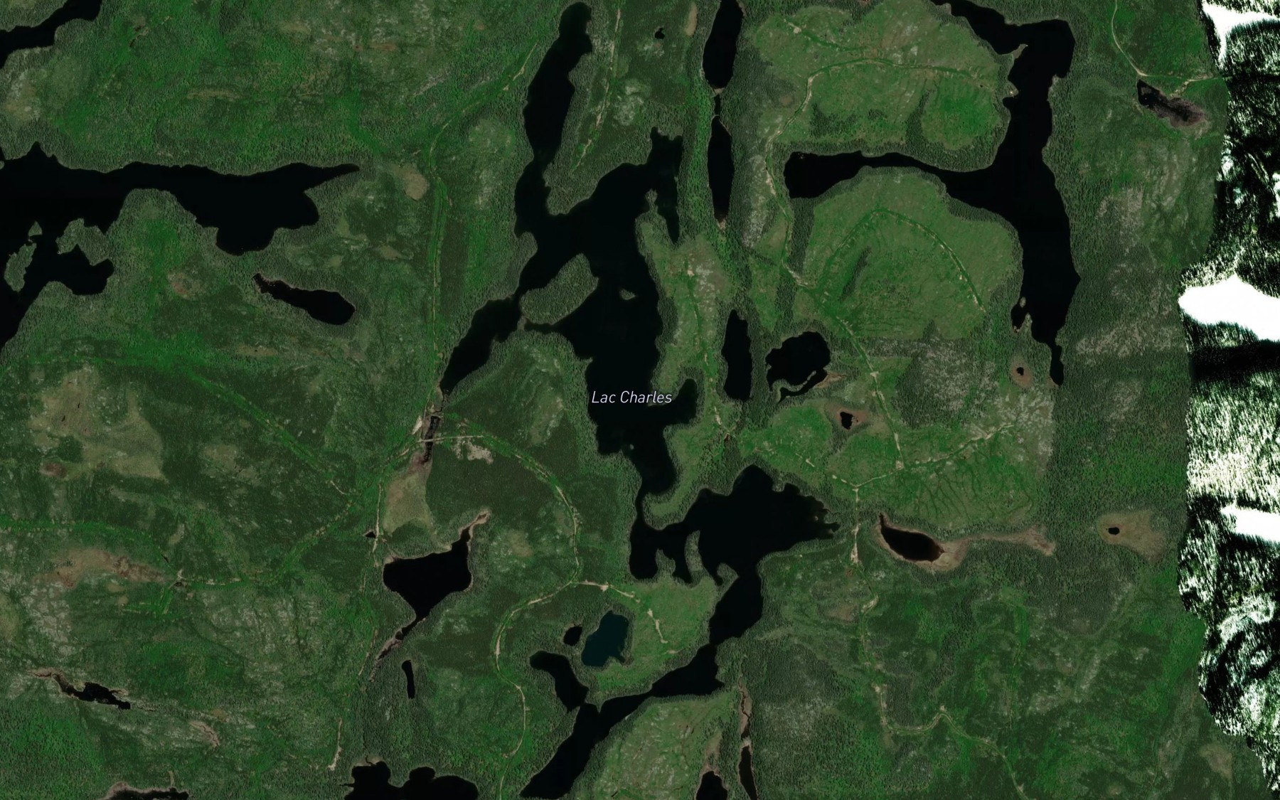 Satellite map of the Lac Charles