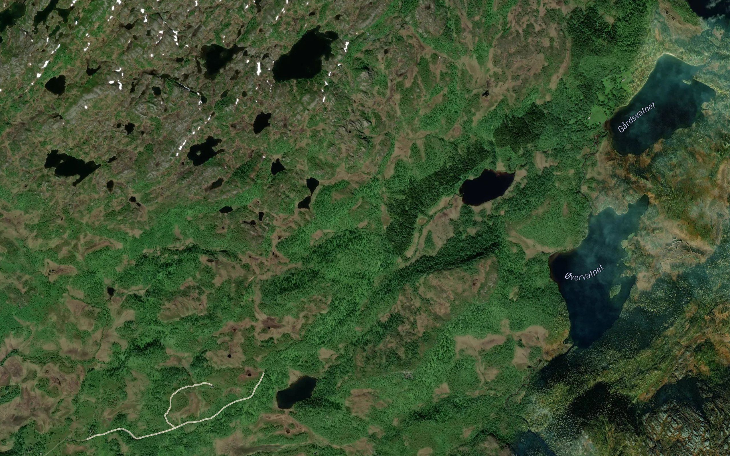 Dalbakkelva