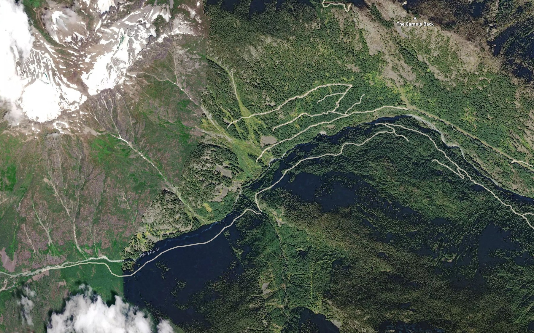 Satellite map of the Wasp Creek