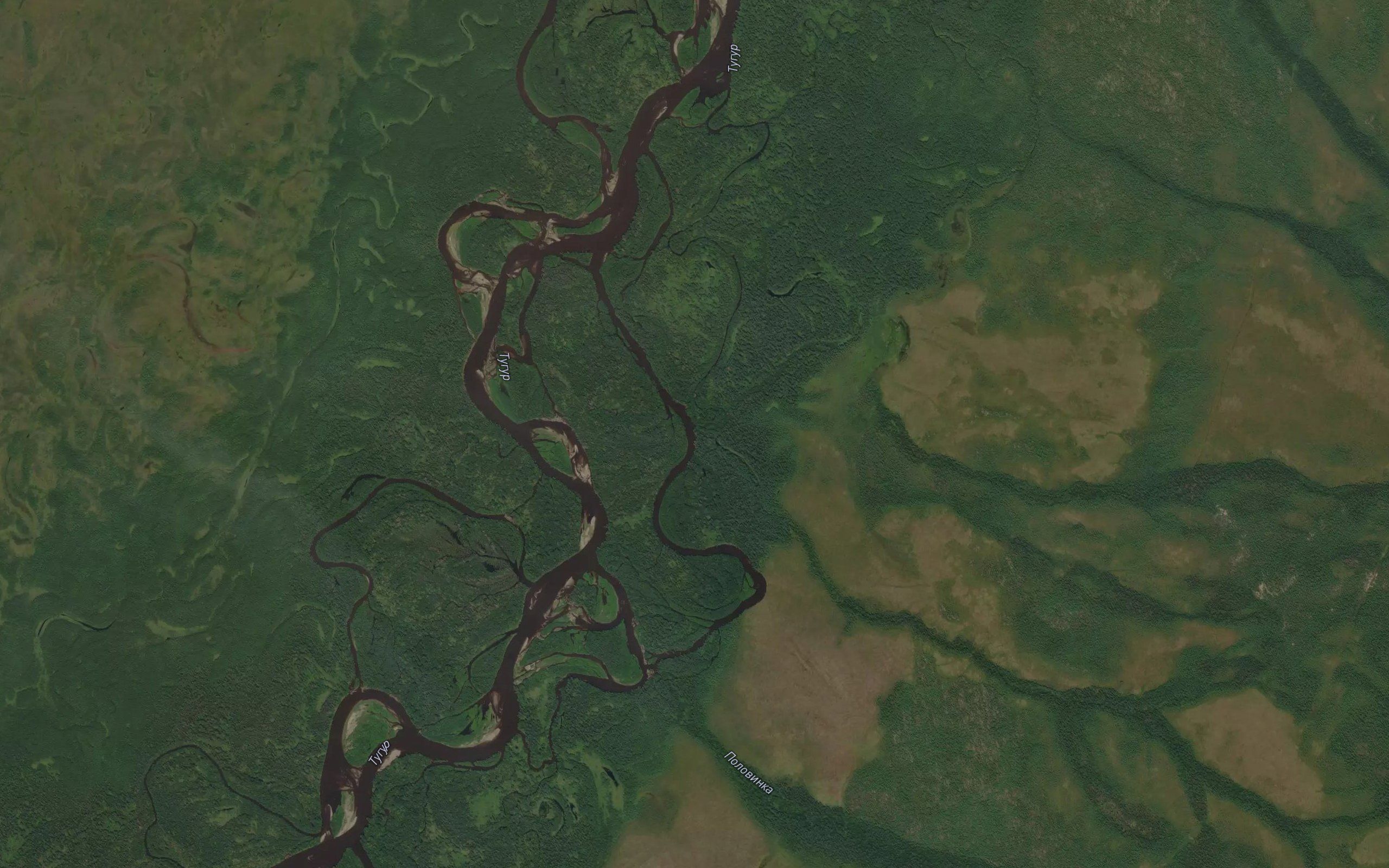 Polovinka