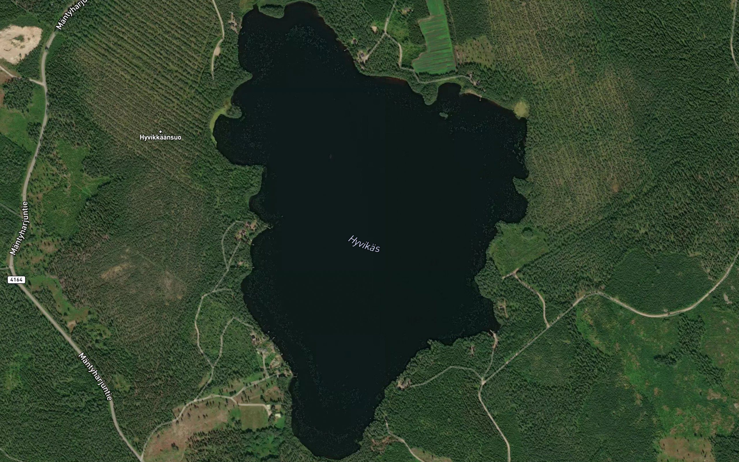 Hyvikas