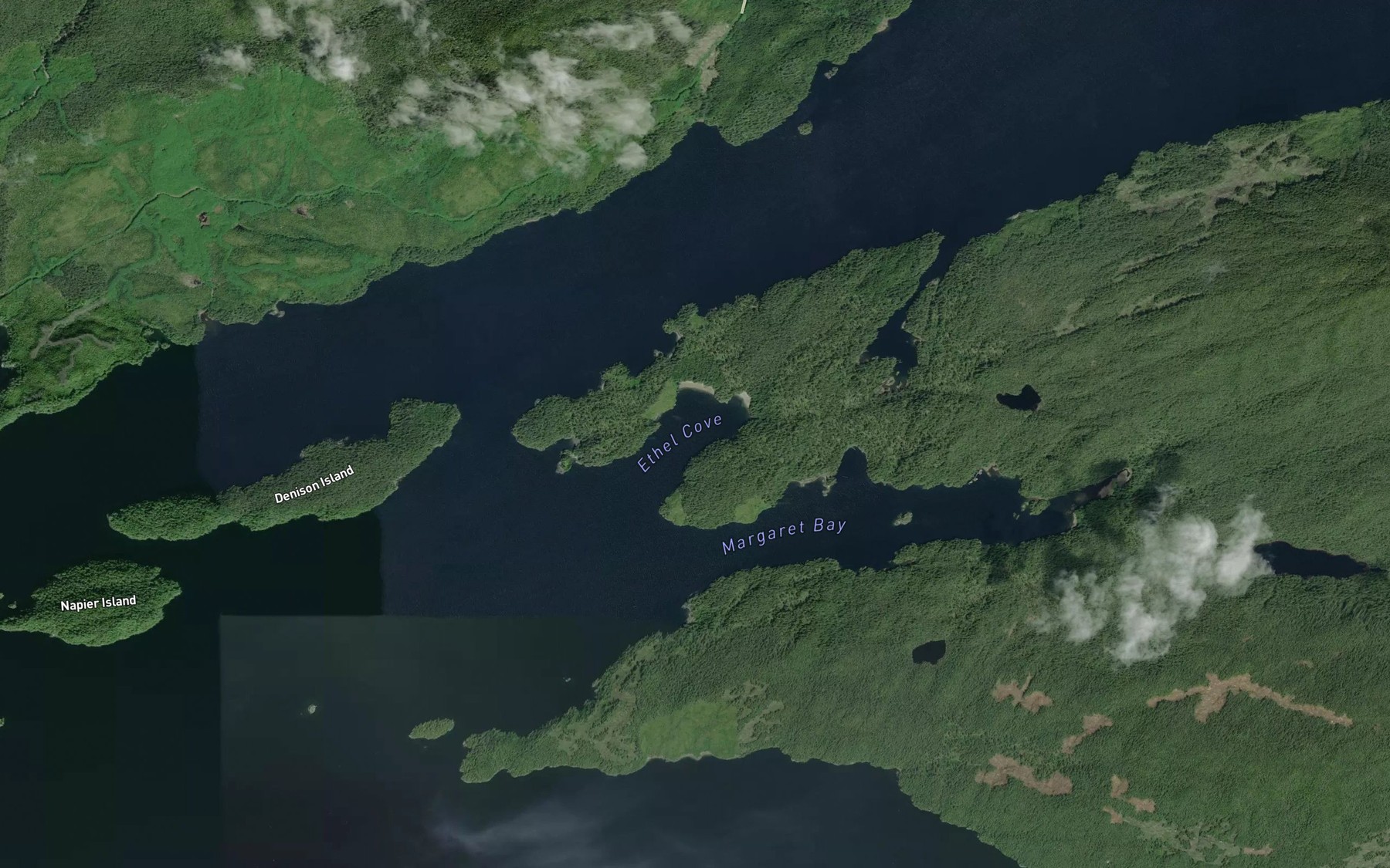 Satellite map of the Ethel Cove