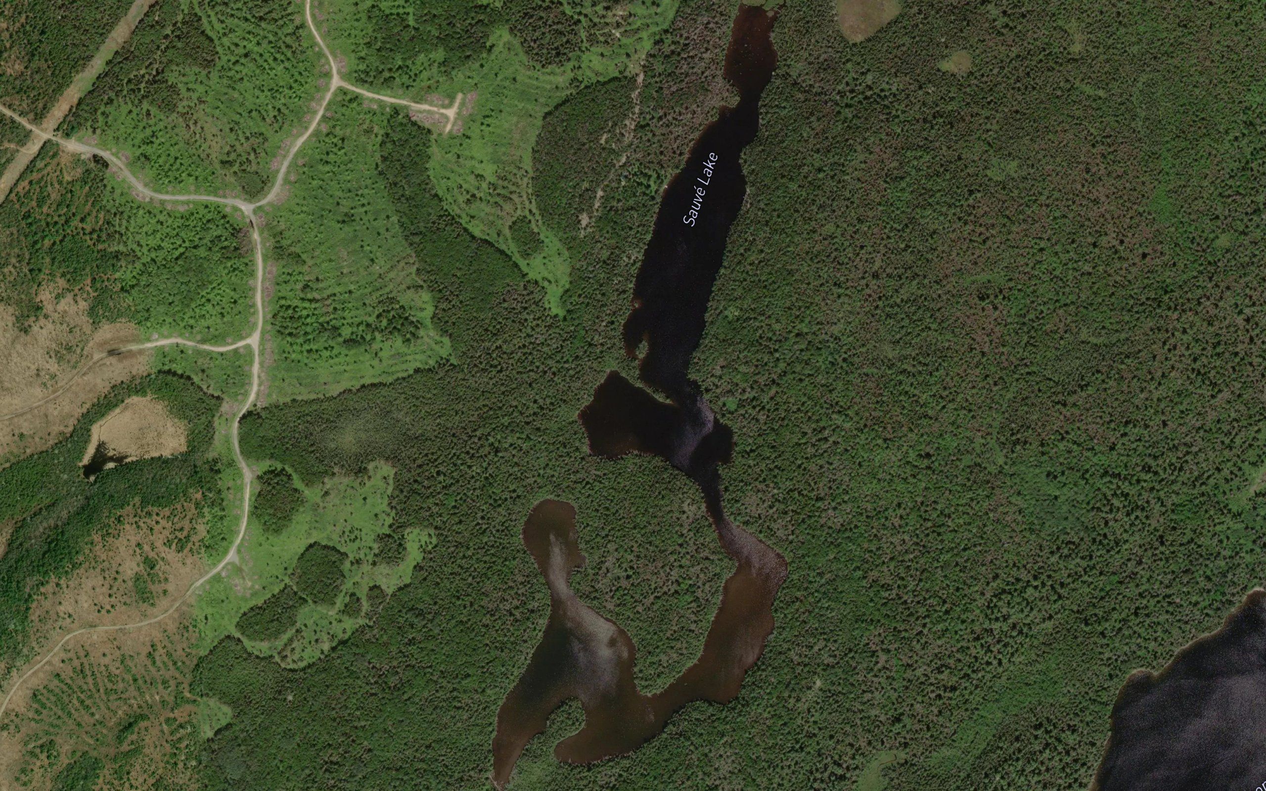 Sauve Lake