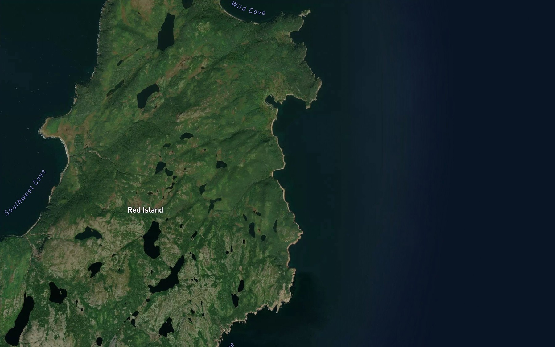 Satellite map of the Cochrane Cove