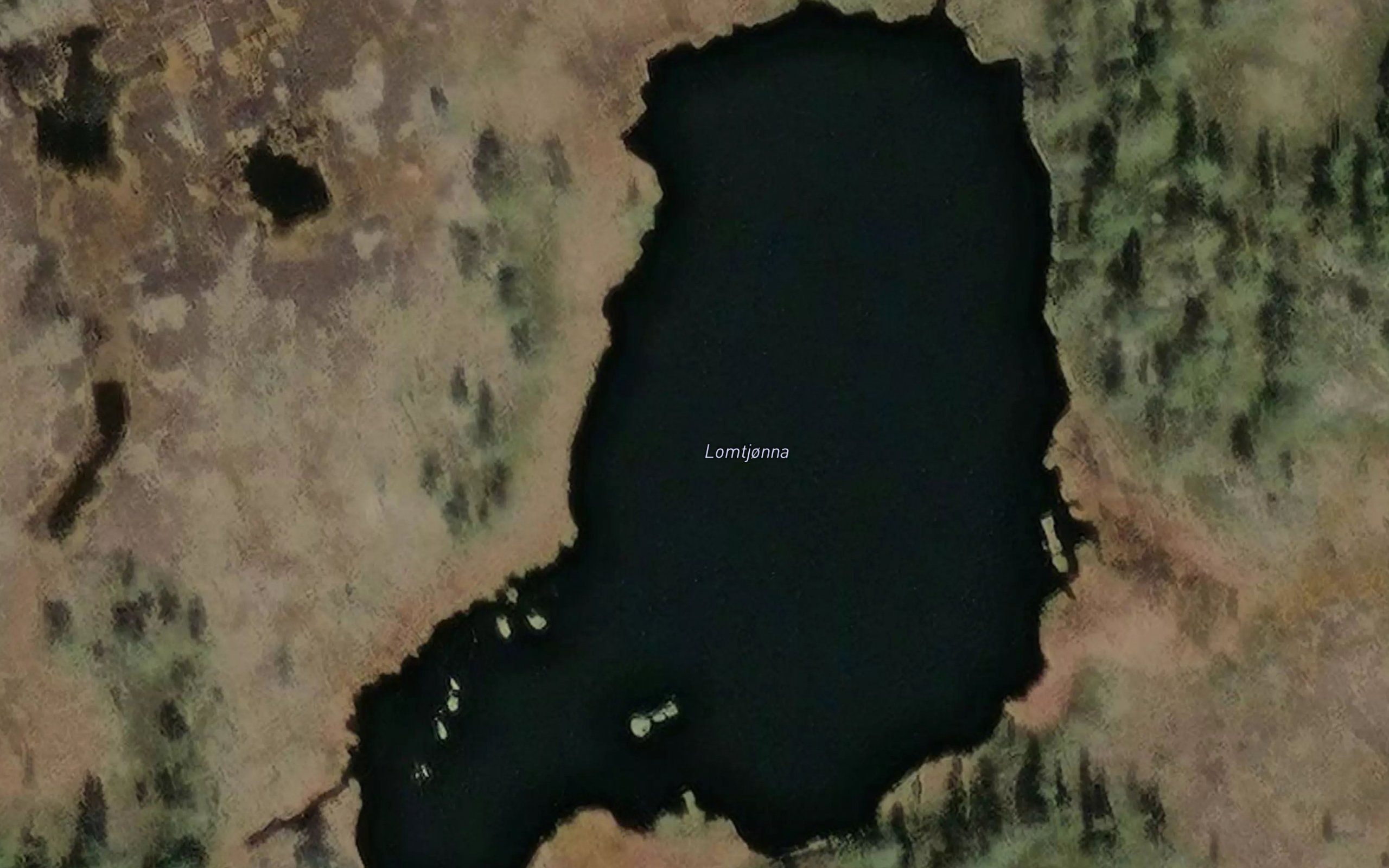 Lomtjorna