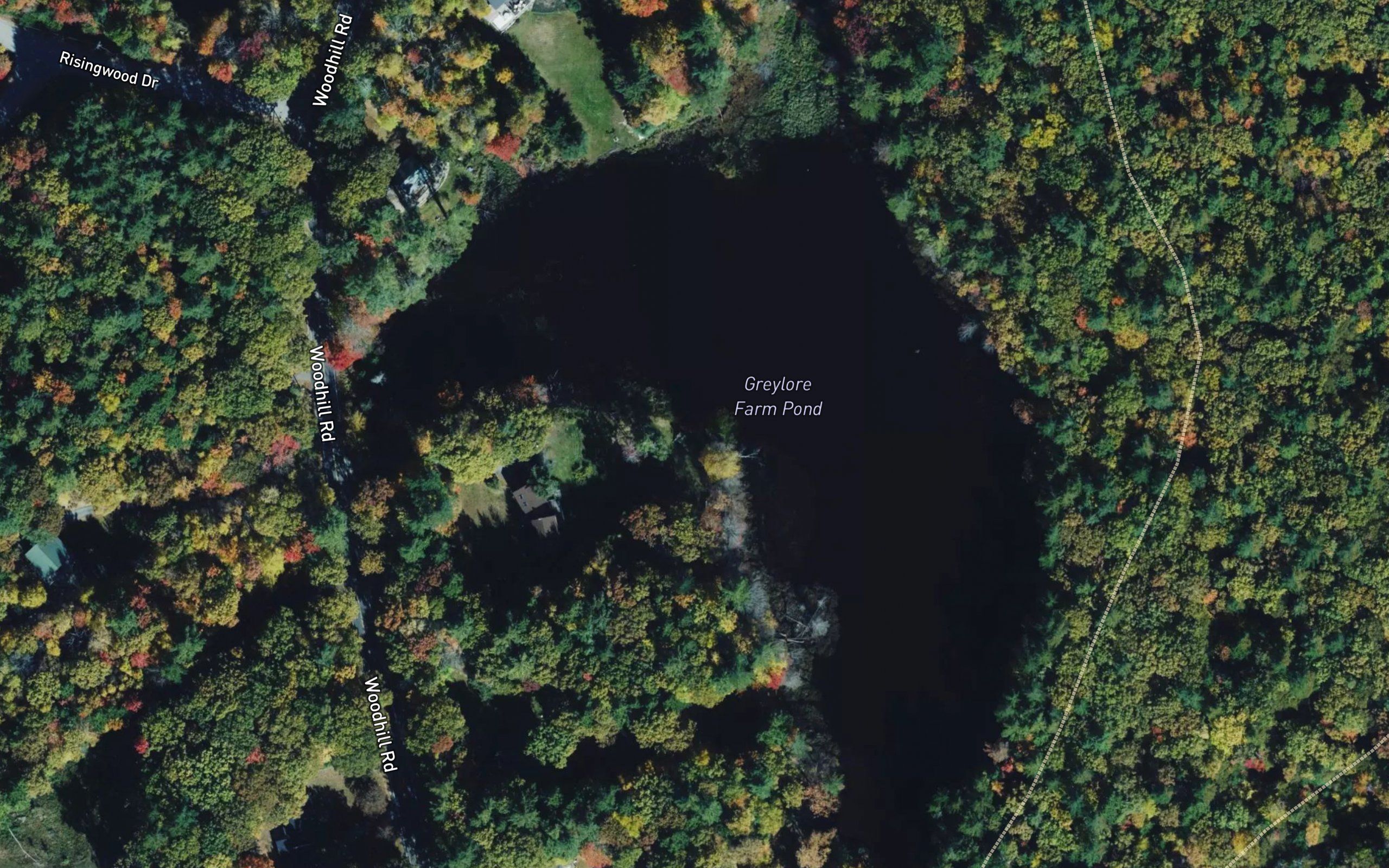 Greylore Farm Pond