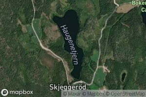 Hauganetjernet