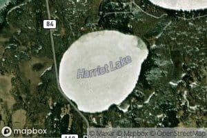 Harriet Lake