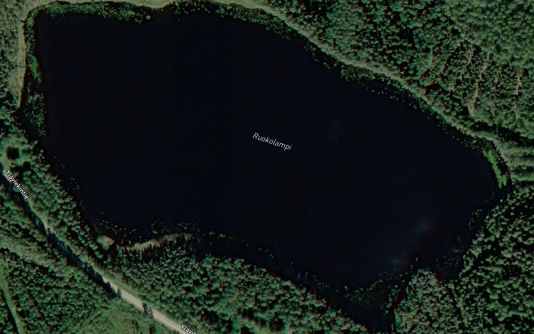 Satellite map of the Ruokolampi