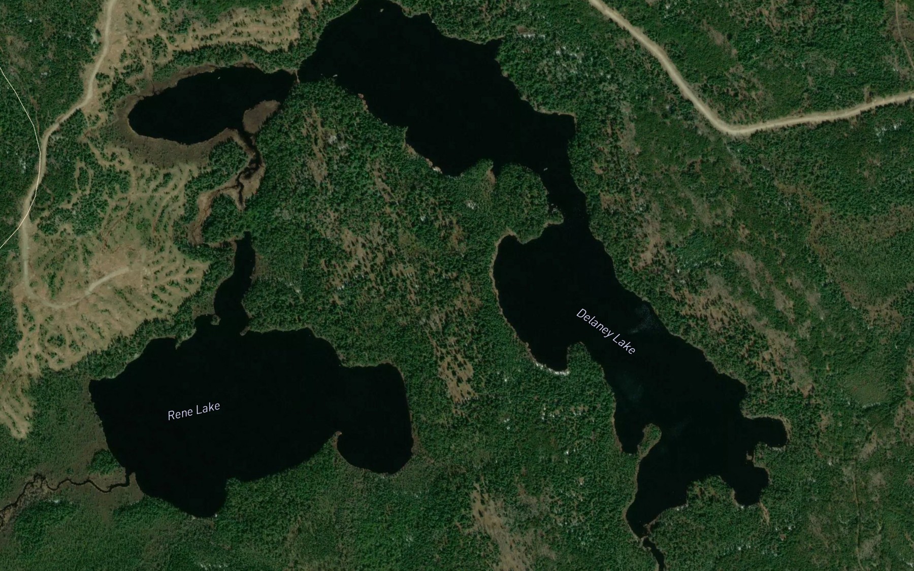 Satellite map of the Delaney Lake