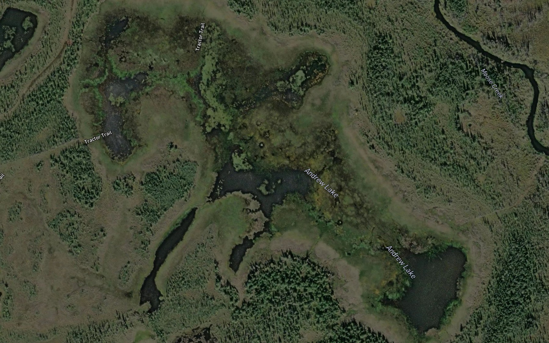 Satellite map of the Andrew Lake