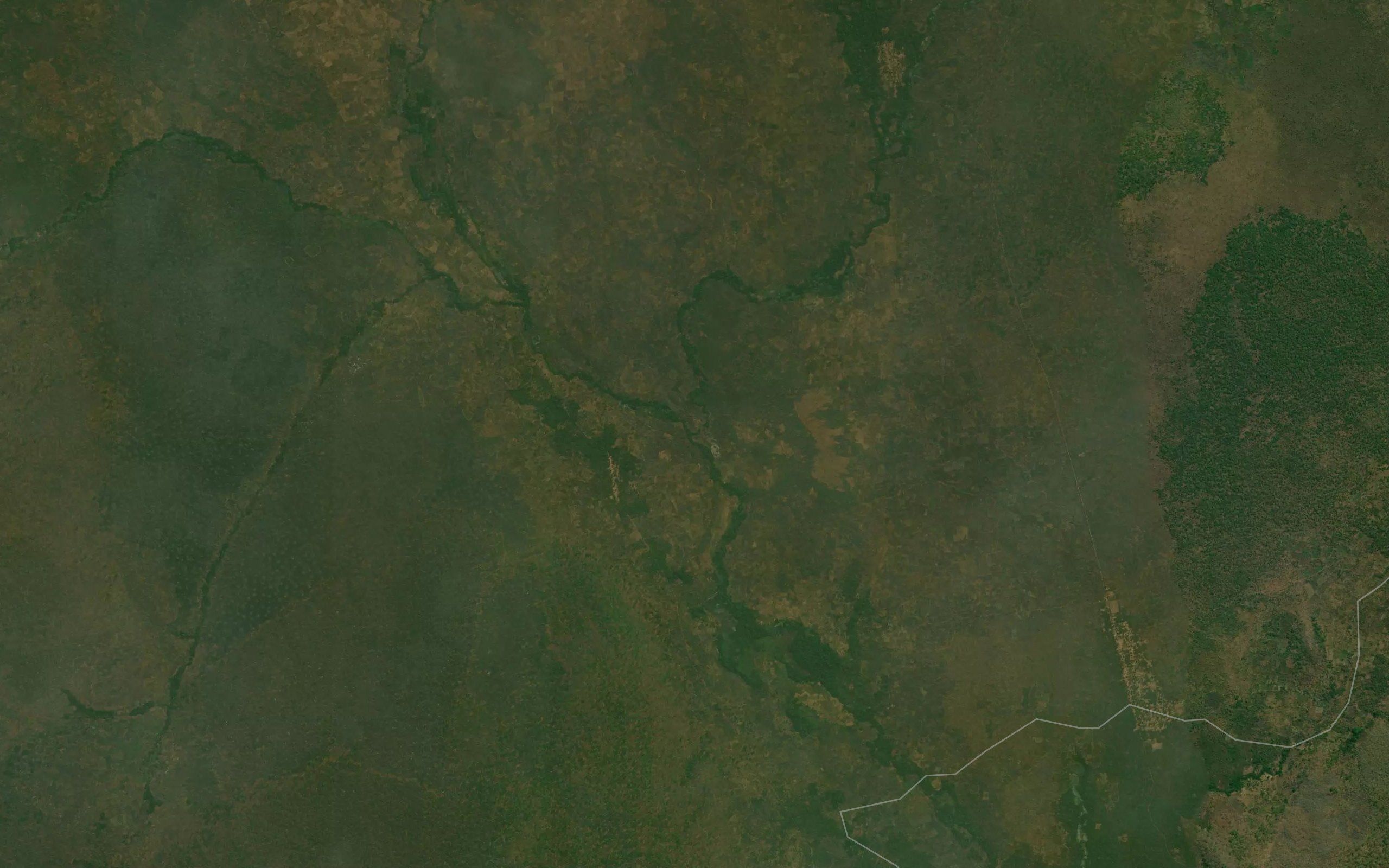 Kingungu
