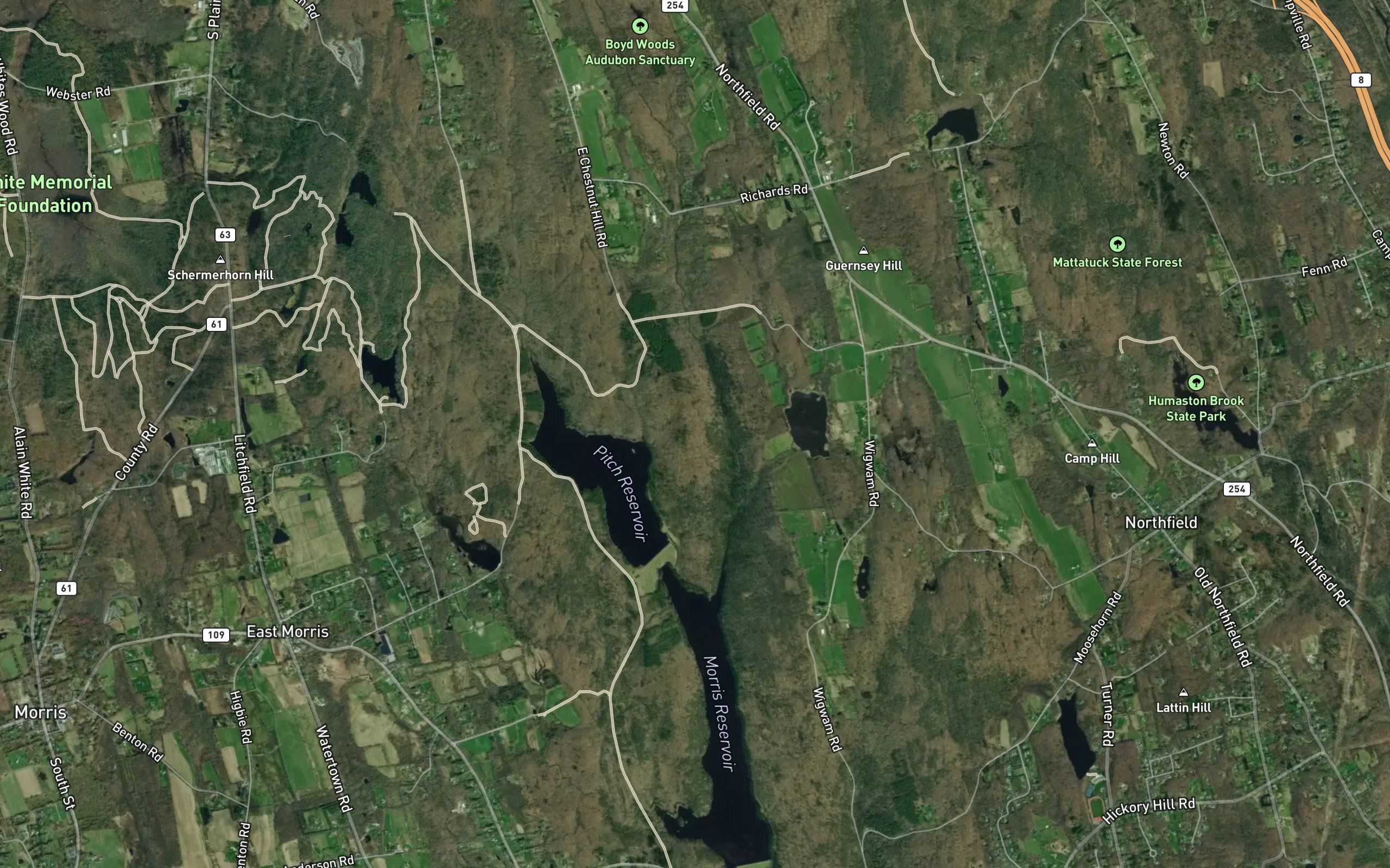 Morosani Pond Number 2