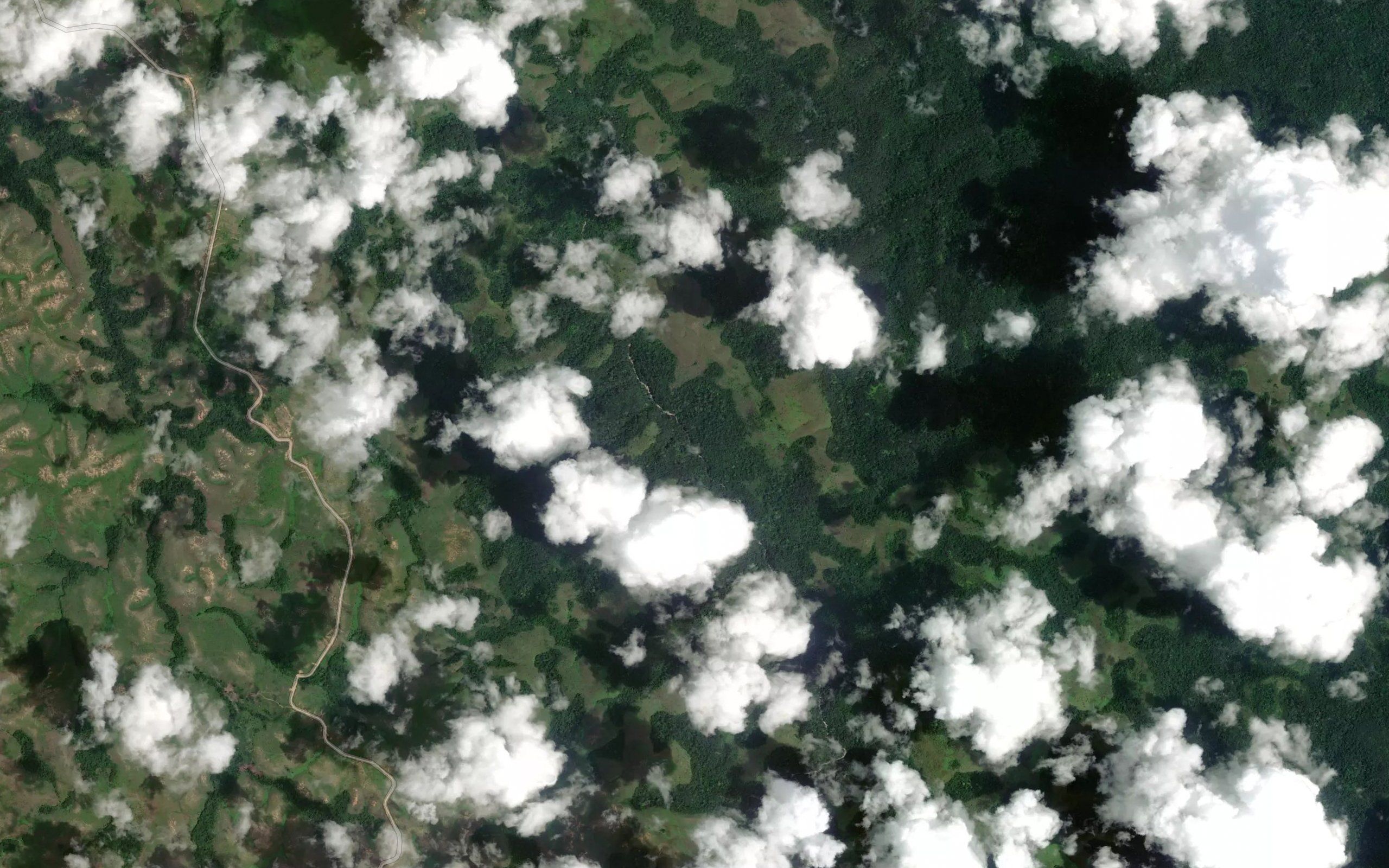 Birimba