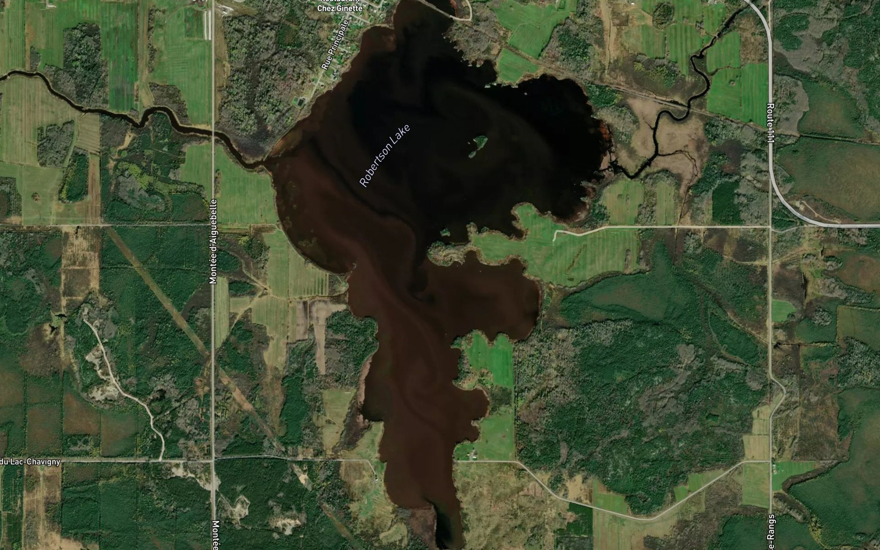 Satellite map of the Lac Robertson