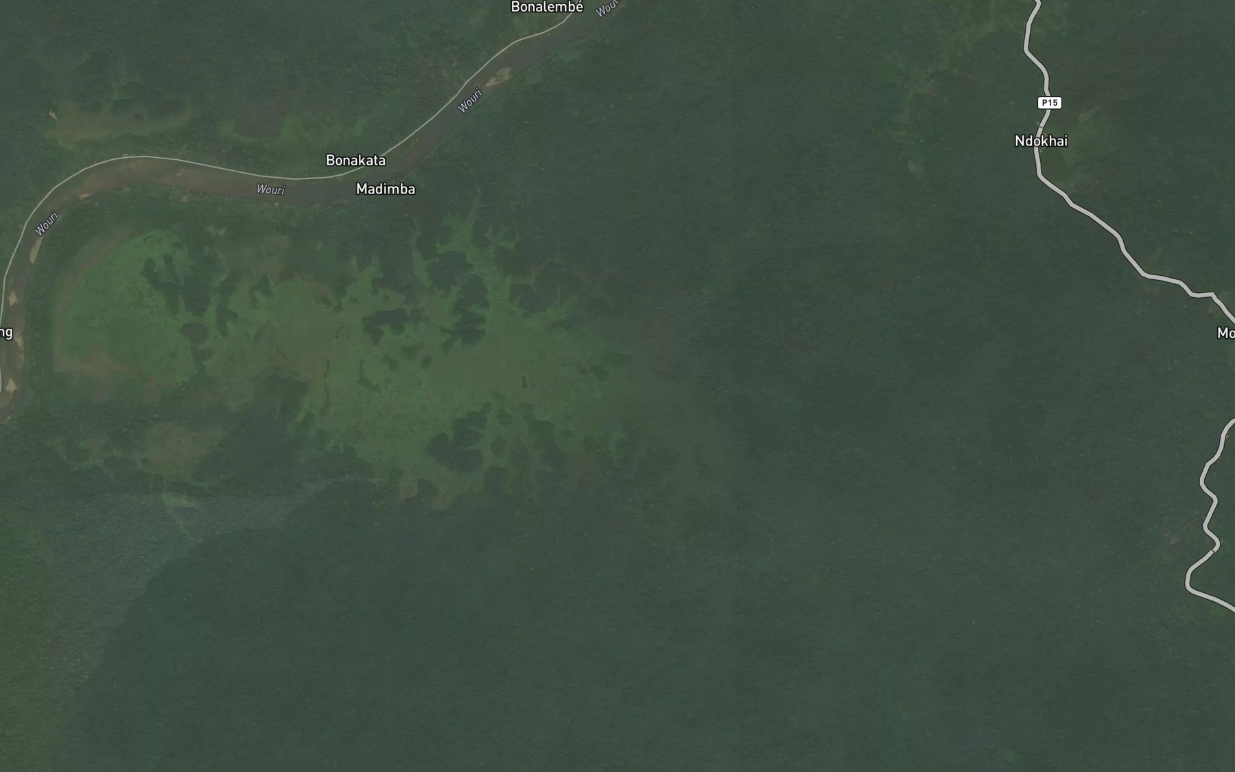 Satellite map of the Nsake