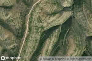 Peterson Spring