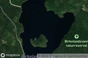 Birkelandsvatnet
