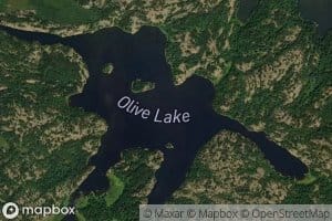 Olive Lake